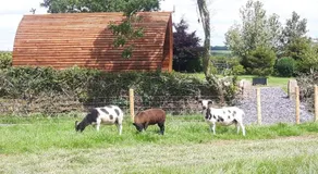 Larkworthy Farm Glamping Holiday Cabins - Image 2