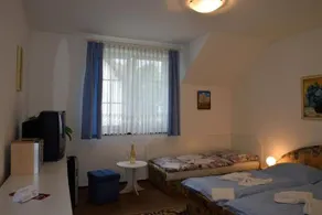 Vila Terezie - Image 4