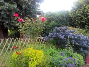 Les Champs De Tracy - Image 5