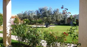 Cosmos Resort - Image 2