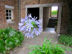 lisa's weelde - Image 4