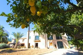 Finca Can Vich - Image 2