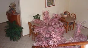 Garni Hotel Mado - Image 3