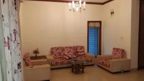 Shangrila Revive - Image 2