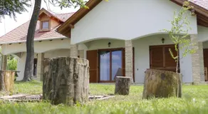 Fekete Lovastanya - Image 4