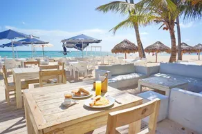 House Pina Colada - Image 5