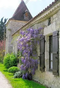 Chambre D'hôtes Au Pigeonnier De Quittimont - Image 5