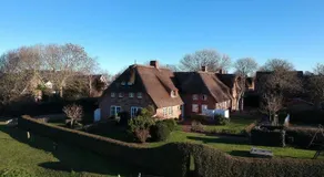 Reetkehlchen - Image 5