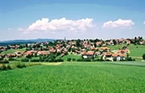 Mayerhofer Landgasthof - Image 3