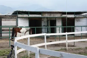 Piccolo Ranch - Image 2