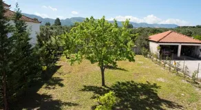 Villa Elena - Image 2