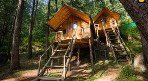 Livingstone Ojuven Treehouses - Image 4