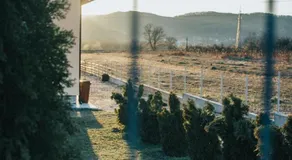 Cazare Antonia - Image 3