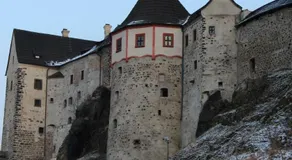 Diviš73 - Image 2