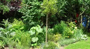 Chambre d'hôtes sur jardin acces PMR - Image 2