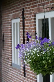 B&B De Bolstienpleats - Image 5