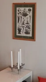 Appartamento Luisa - Image 4