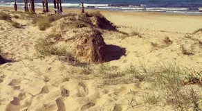 Alojamiento El Altet Playa - Image 3