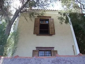Olive Grove - Image 2