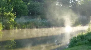 Ferienwohnungen Direkt Am Wasser in Gluckstadt - Image 3