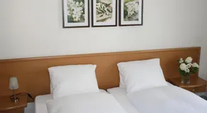 Hotel des Alpes Dudingen - Image 2