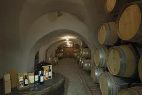 Château le Rosey - Image 4
