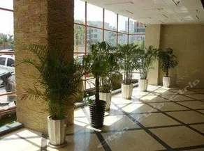 Xichang Jinse Daocheng Hotel - Image 5