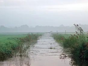 Hoeve Blitterswijk - Image 4