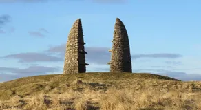 Bosta 12 Knock - Image 4