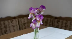 Apartment Ani - Image 3