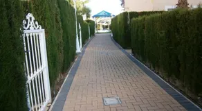 AD1000 Malybu Beach Oliva Nova - Image 2