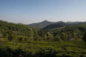 Hotel The Ataraxia Coonoor - Image 2