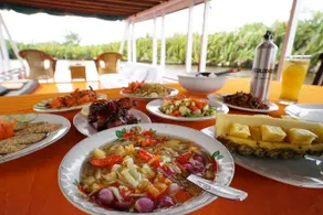 Rimba Orangutan Ecolodge - Image 2