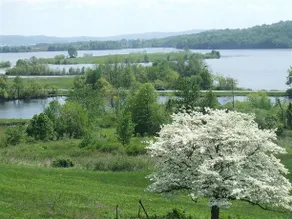 Forest Hill Inn - Image 2