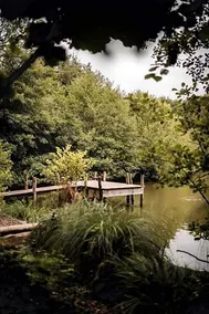 La Tiny Du Parc - Image 5
