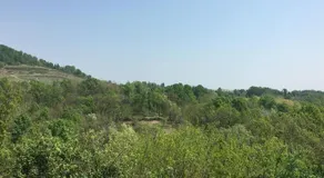 I 5 Sensi Country - Image 2