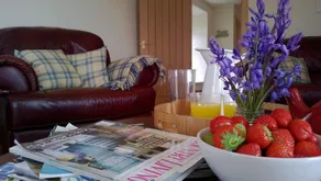 Old Farm Holiday Cottages - Image 5