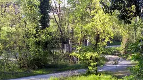 Casa Nel Bosco - Image 5
