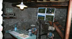 Fattoria Di Lamole - Il Pozzo - Image 2