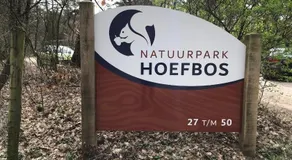 Modern Natuurhuisje Midden In Het Bos Op De Veluwe - Image 5