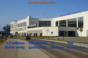 Atena - Image 2