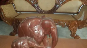 Kandalama Kings Resort - Image 2