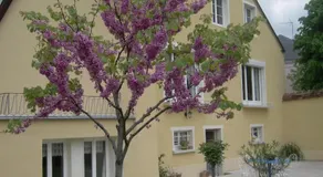 62 Avenue Roger Martin du Gard - Image 2