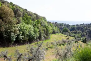 CASA AL PINO - Image 5