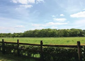 Wickham Green Farm Lodges - Image 4