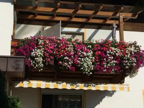Gastehaus Winkler - Image 2