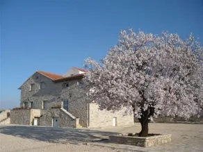 Guesthouse Pensione Dalmazia - Image 2