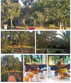 B&B Le Cinque Querce - Image 3