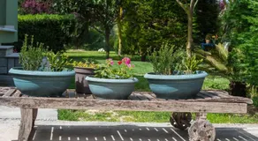 Casa Giardino - Image 5