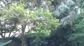 Hill Crescent - Image 4